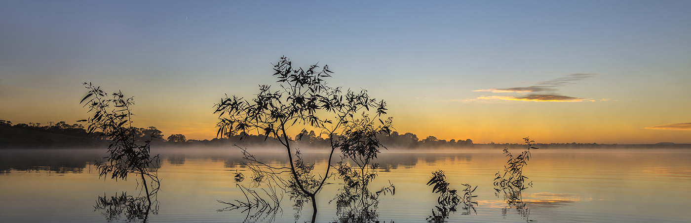 Reservoir at sunset with tree